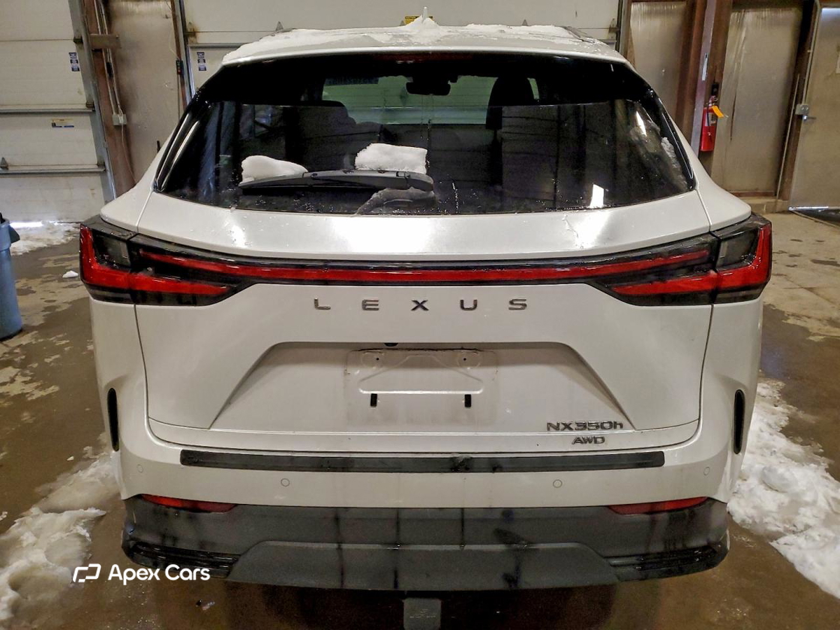 Lexus NX 2024
