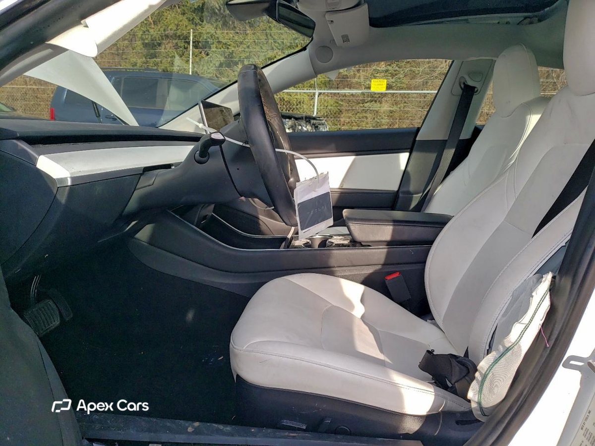 Tesla Model 3 2019