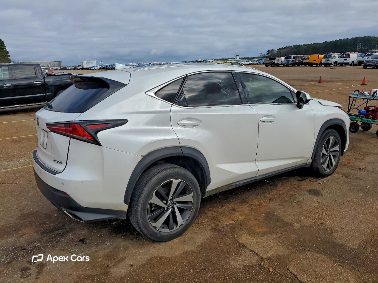 Lexus NX 2019