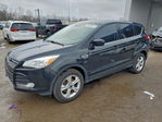 Ford Escape 2015