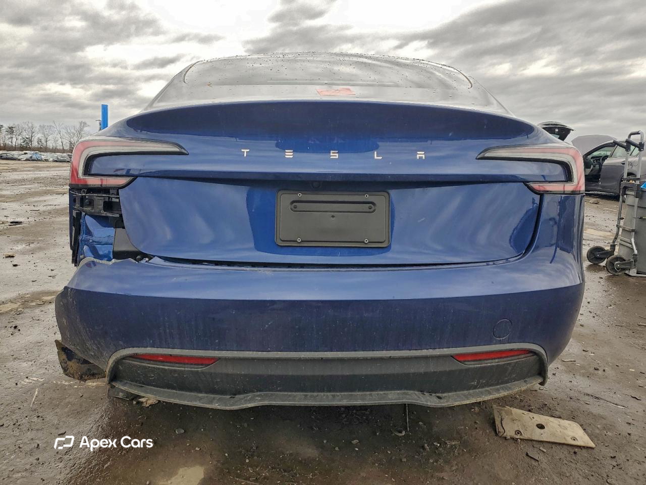 Tesla Model 3 2025