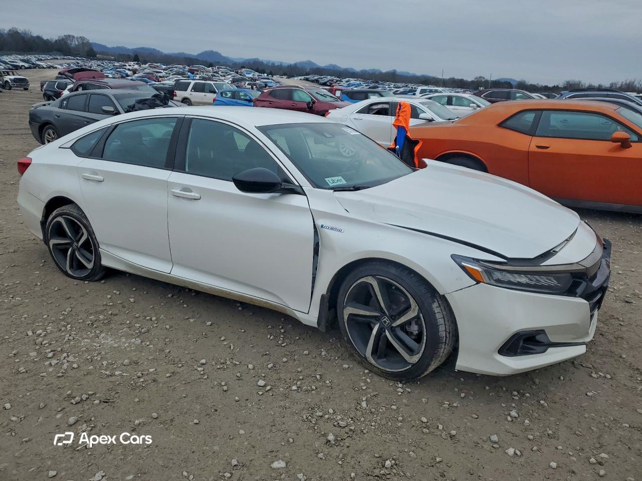 Honda Accord 2022