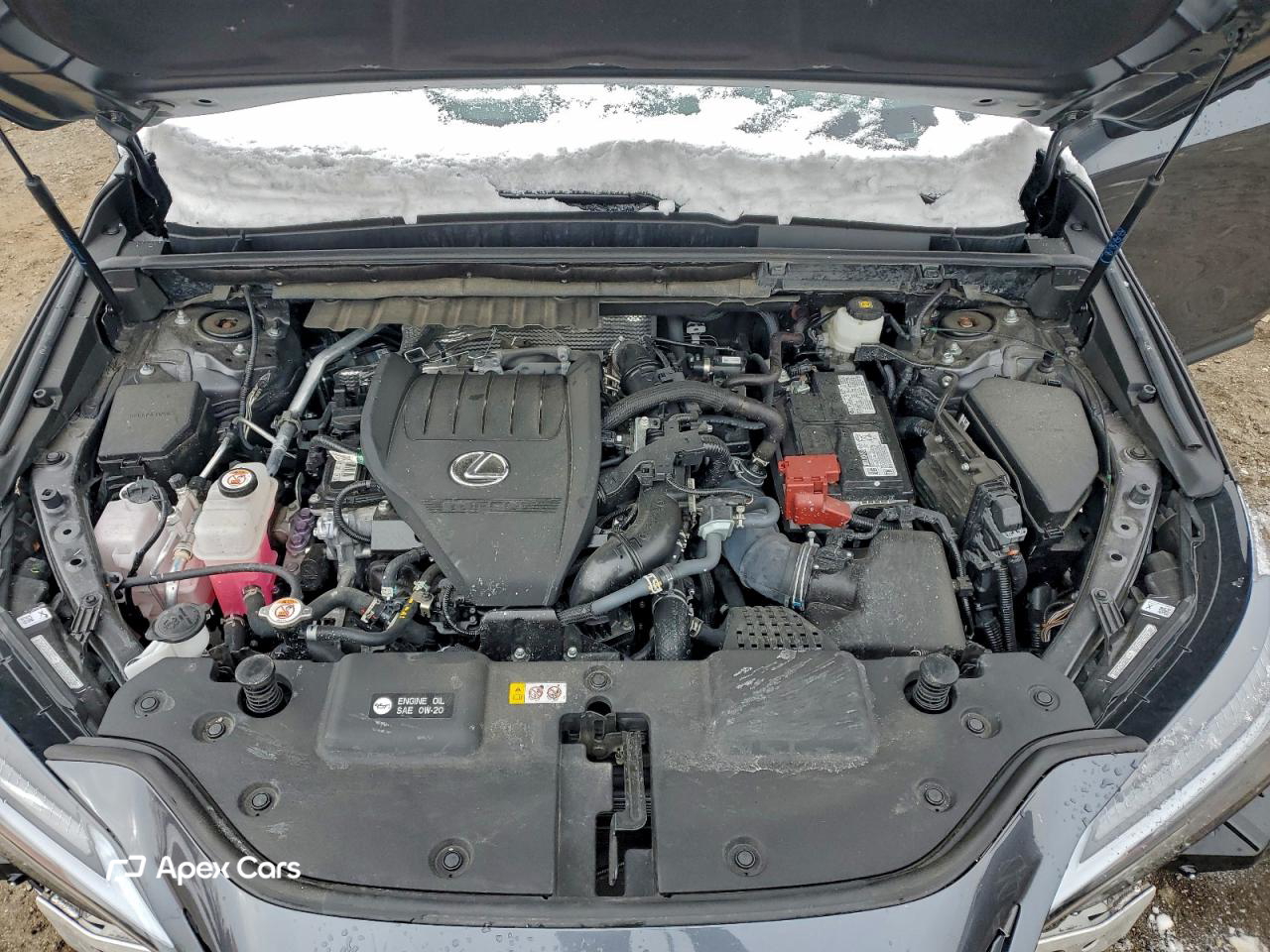 Lexus NX 2024