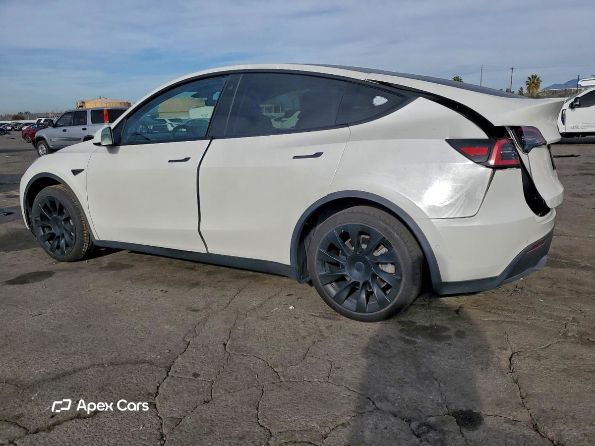 Tesla Model Y 2020