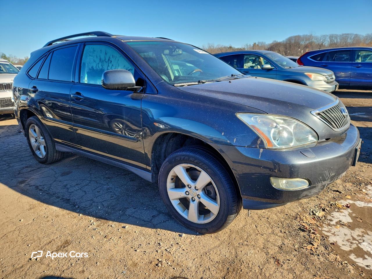 Lexus RX 2004