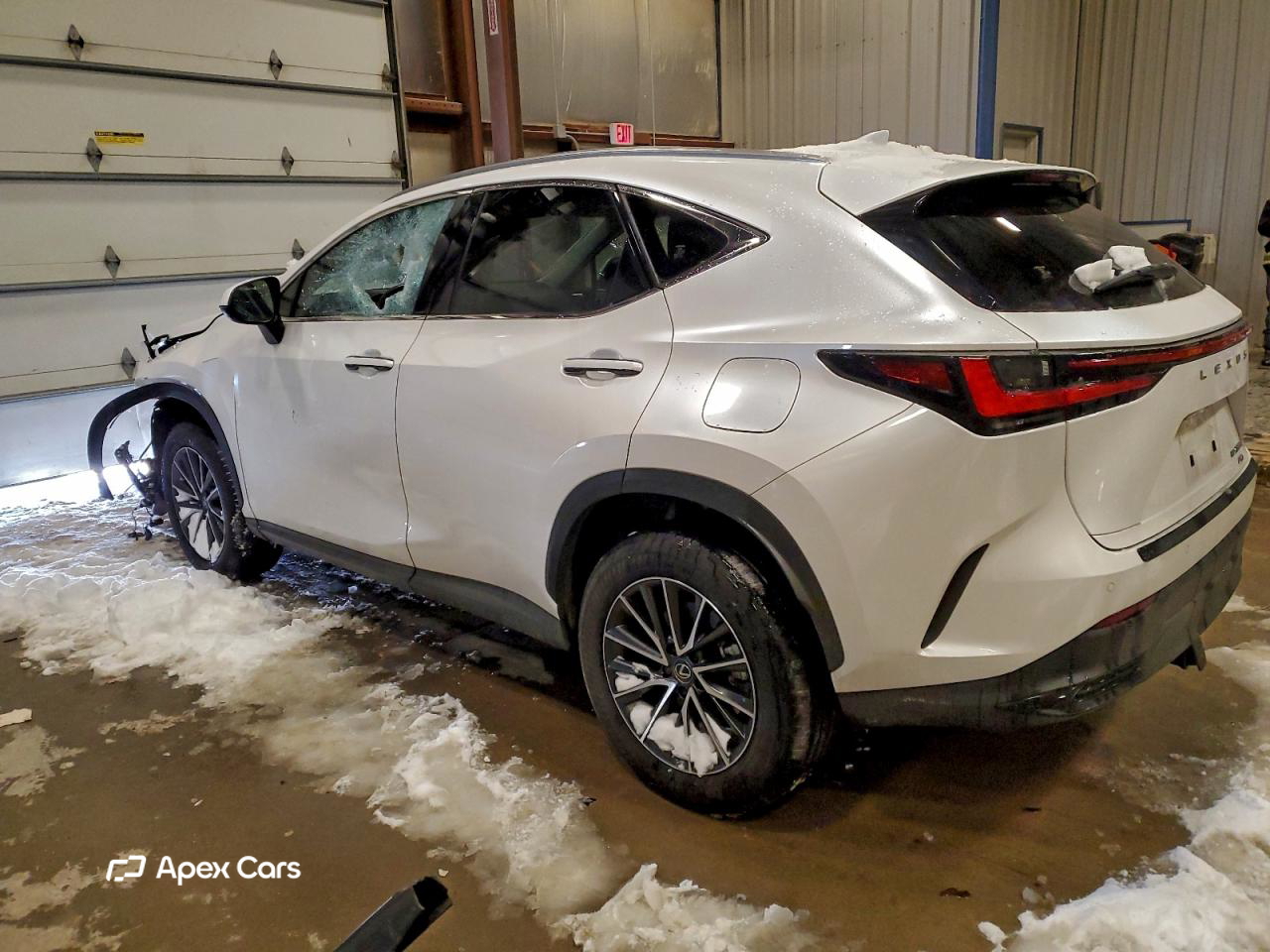 Lexus NX 2024