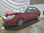 Ford Focus 2010