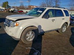 Ford Escape 2011