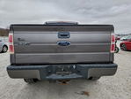 Ford F-150 2010