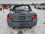 BMW Series 2 2016