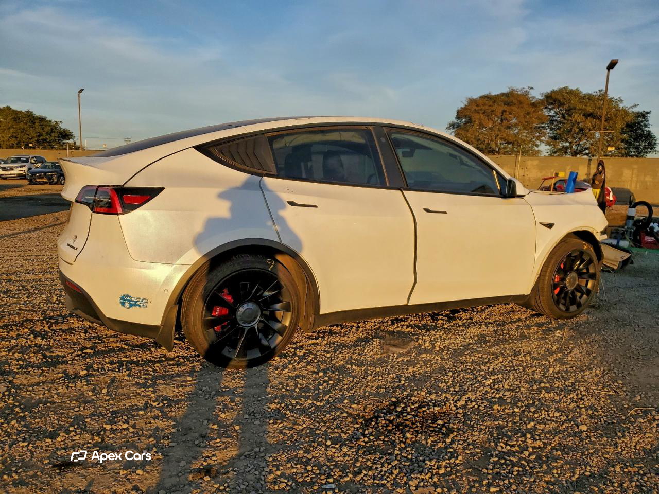 Tesla Model Y 2021