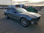 Ford Mustang 2013