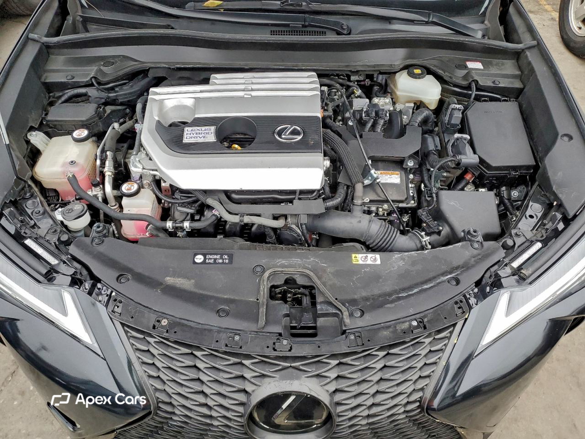 Lexus UX 2019