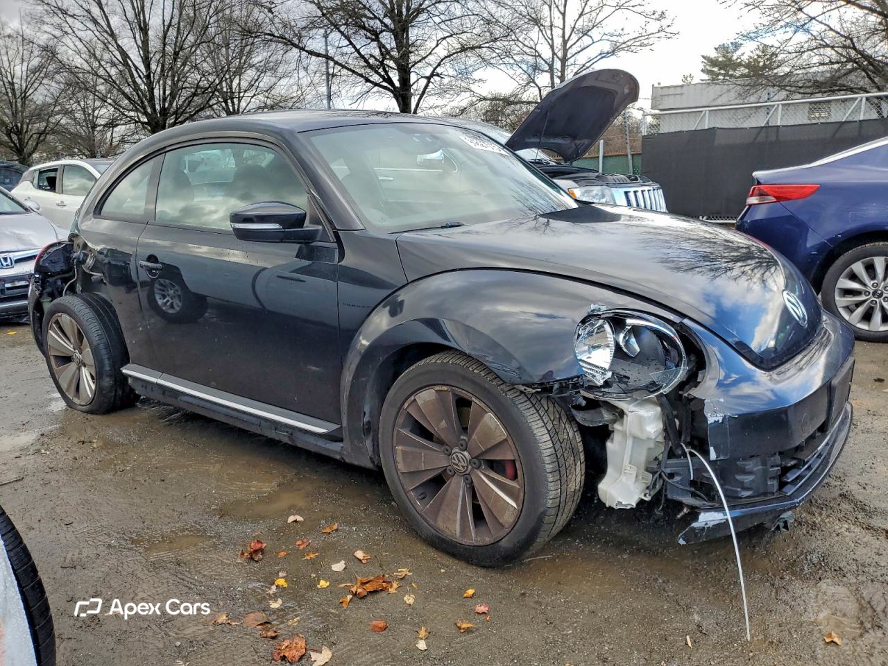 Volkswagen Beetle 2012
