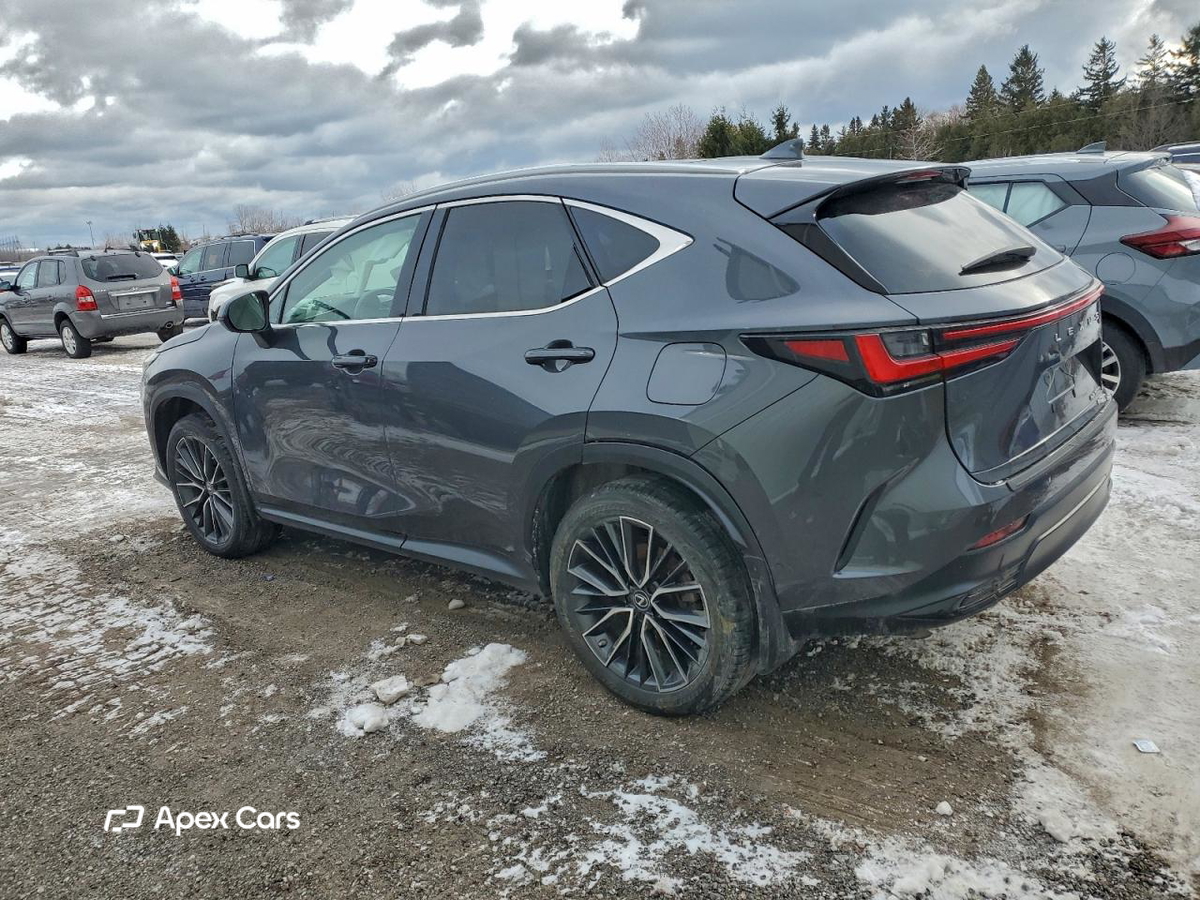 Lexus NX 2022