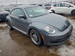 Volkswagen Beetle 2012