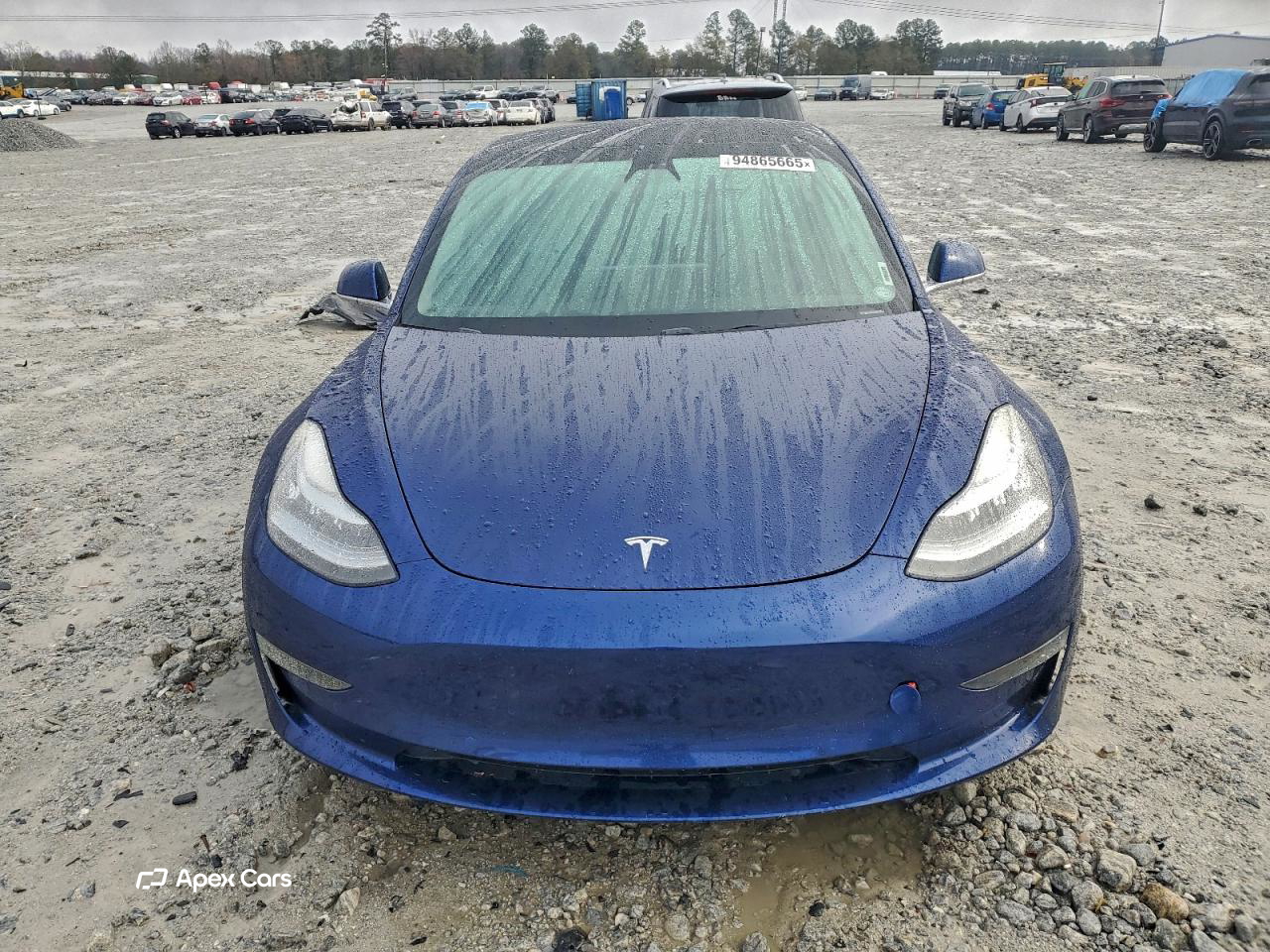 Tesla Model 3 2019