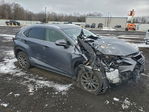 Lexus NX 2020