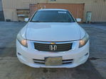 Honda Accord 2010