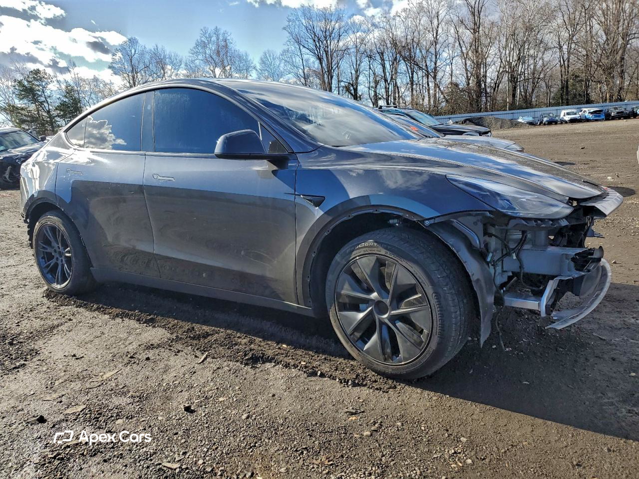 Tesla Model Y 2025