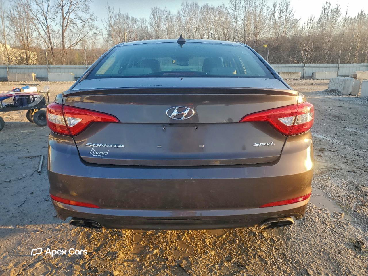 Hyundai Sonata 2015