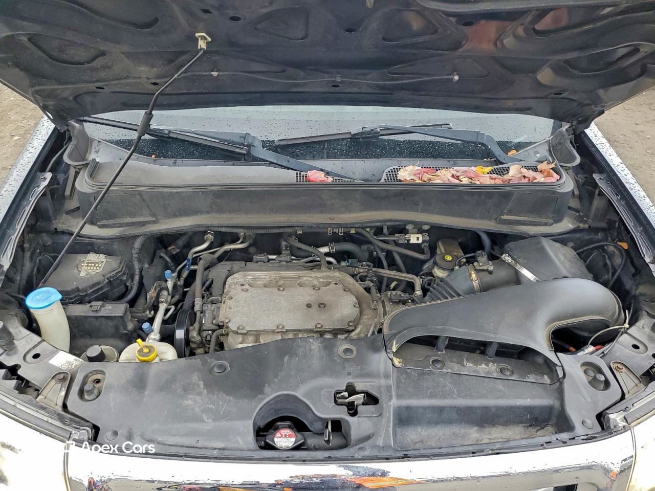 Honda Pilot 2011