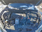 Honda Accord 2013