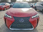 Lexus UX 2022