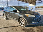 Ford Escape 2015