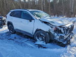 Toyota RAV 4 2025