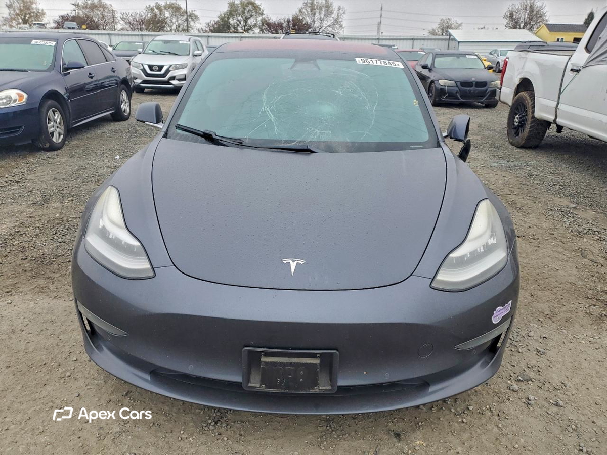 Tesla Model 3 2019