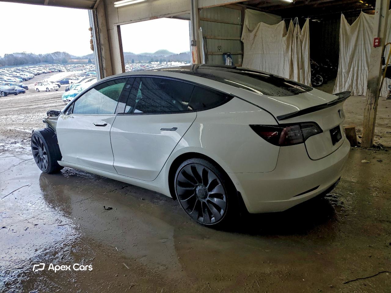 Tesla Model 3 2021