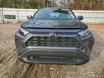 Toyota RAV 4 2025