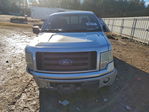 Ford F-150 2010