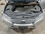 Lexus RX 2013
