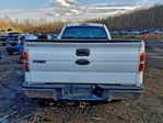 Ford F-150 2013