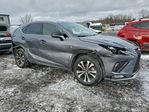 Lexus NX 2021