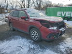 Subaru Forester 2023