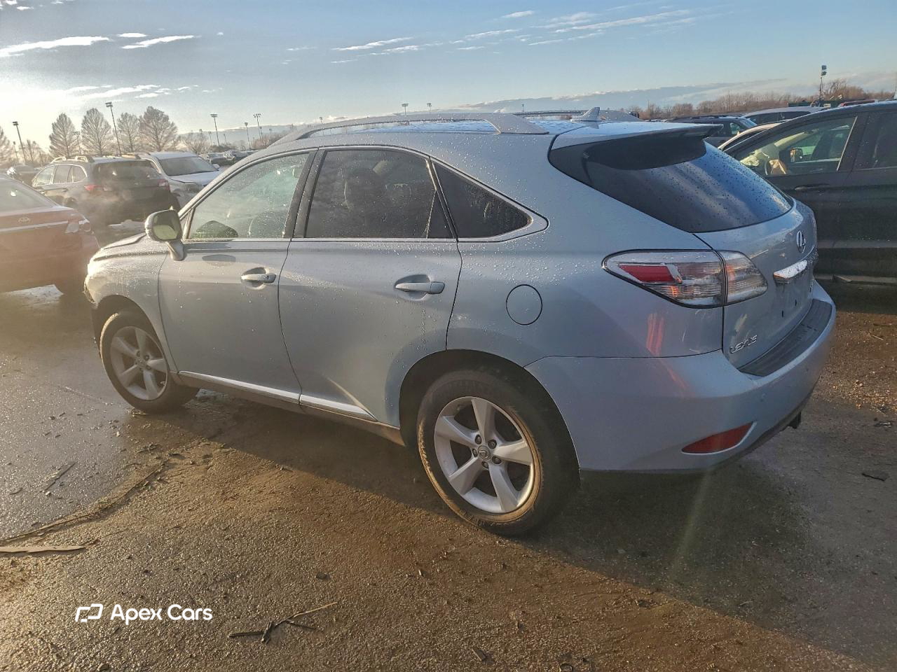 Lexus RX 2010
