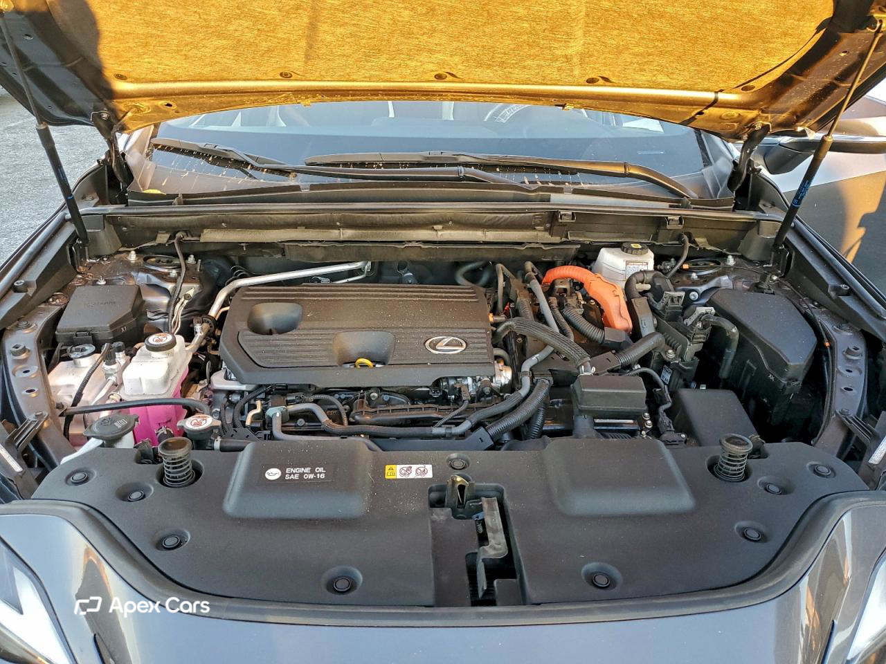 Lexus NX 2024