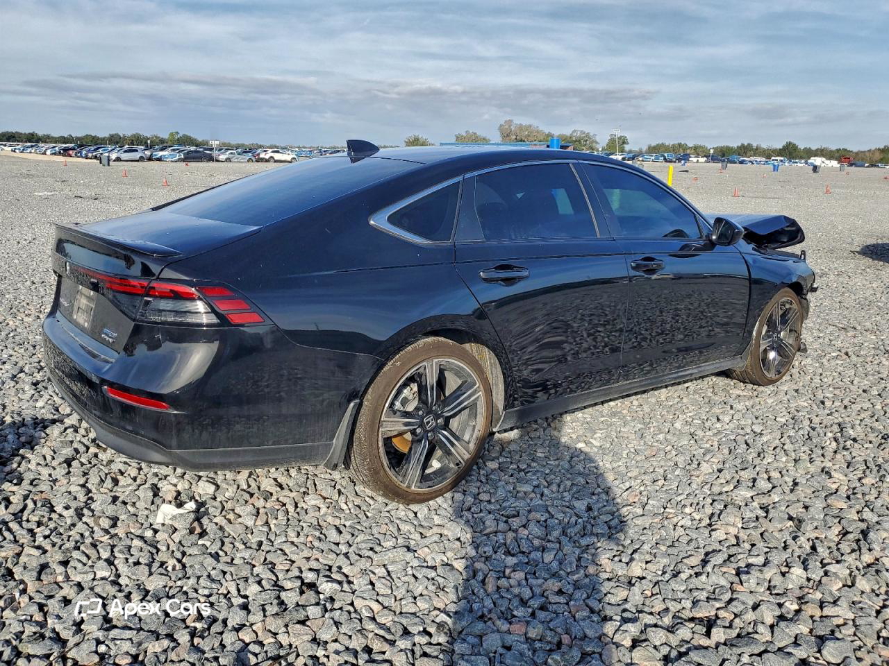 Honda Accord 2025