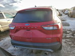 Ford Escape 2021