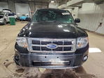 Ford Escape 2011