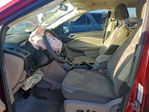 Ford Escape 2014