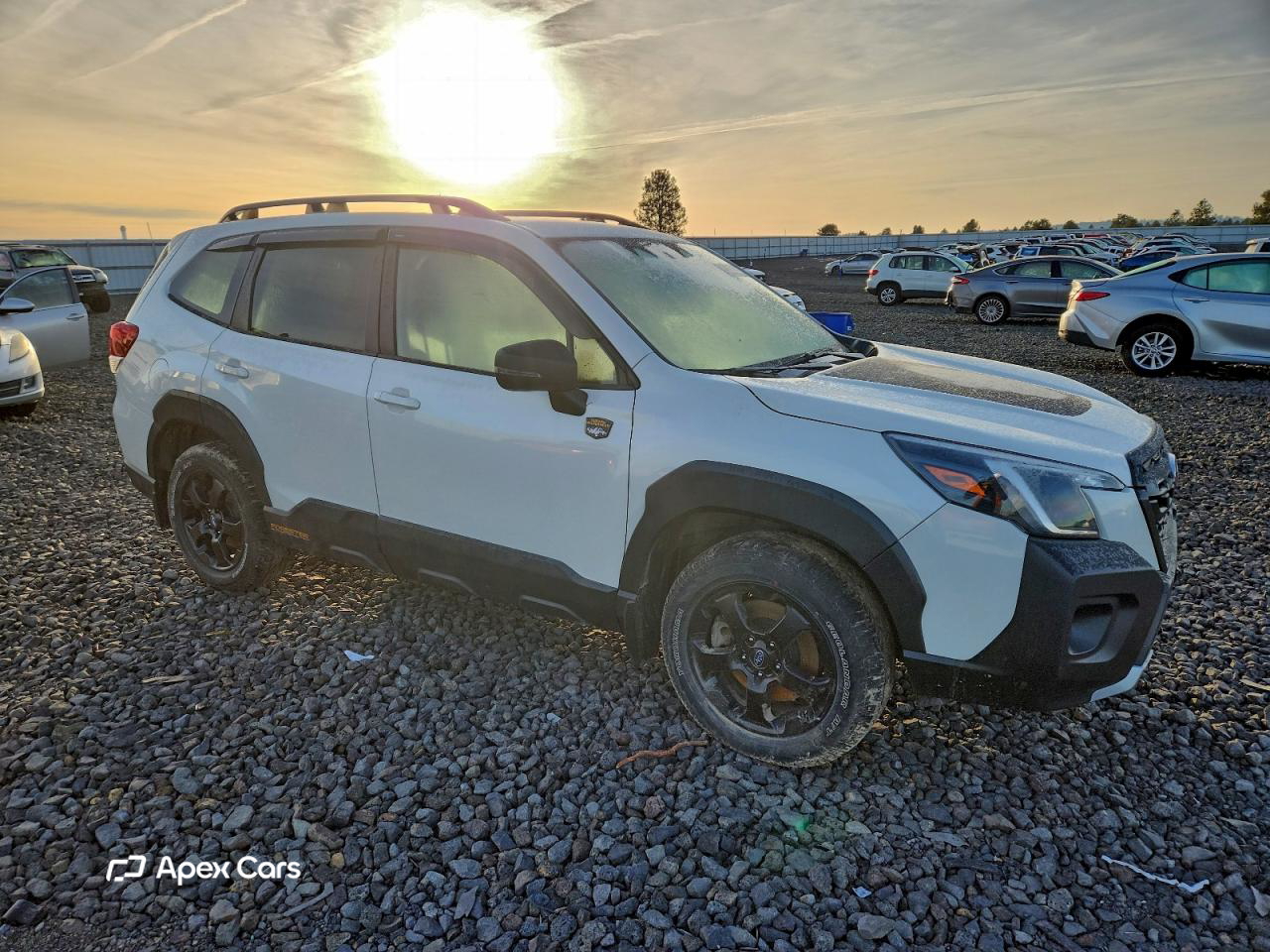 Subaru Forester 2023