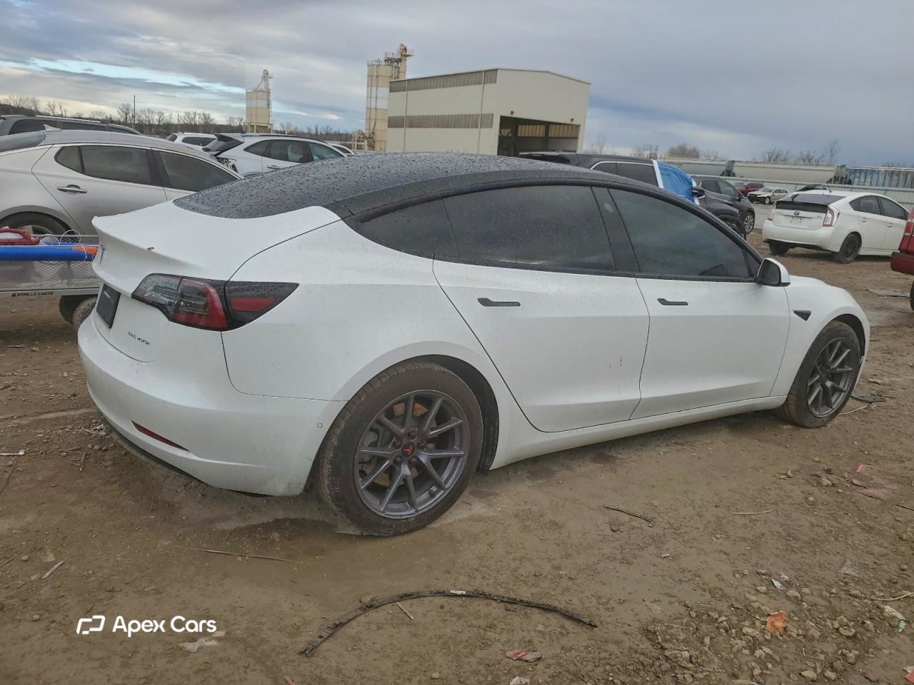 Tesla Model 3 2021