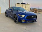 Ford Mustang 2015