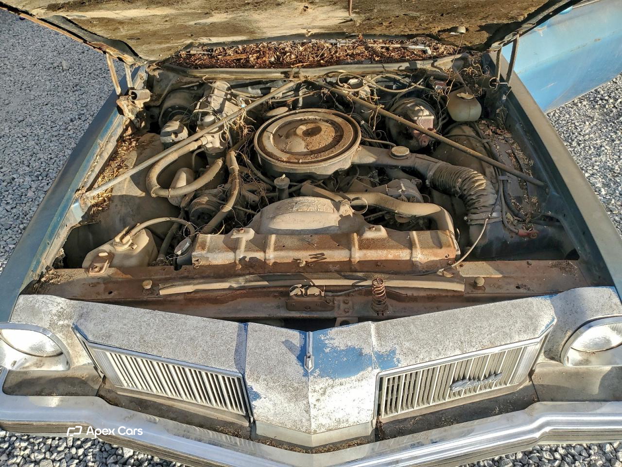 Oldsmobile Cutlass 1975