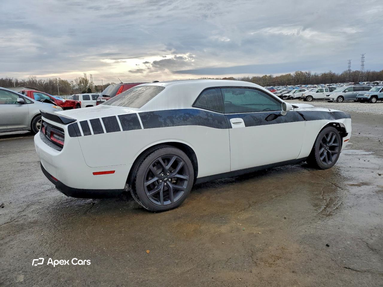 Dodge Challenger 2019