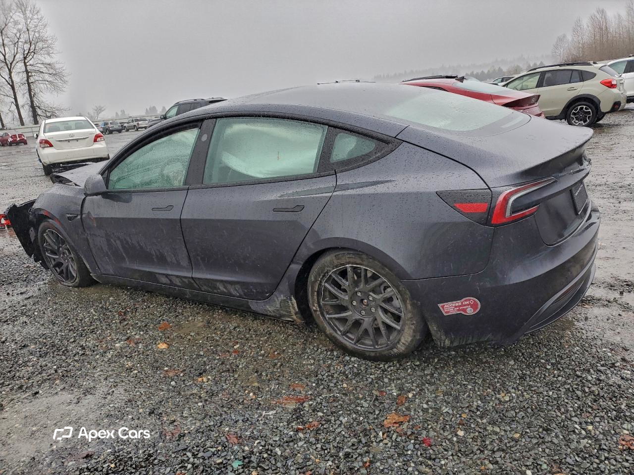 Tesla Model 3 2024